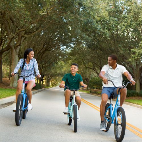 Three people are riding bicycles on a tree-lined road, enjoying a leisurely outdoor activity together.