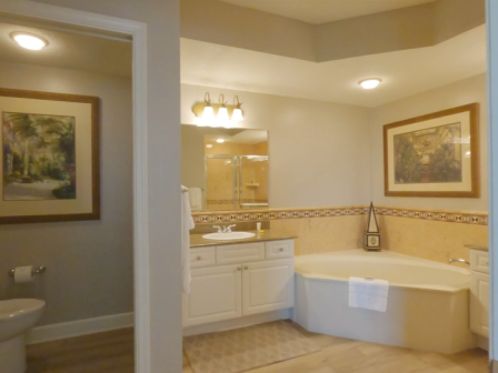 The image shows a bathroom with a bathtub, sink with mirror, toilet, framed art, and overhead lighting, all in a neutral color scheme.