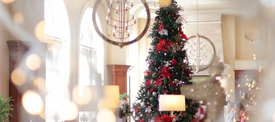 A decorated Christmas tree inside a church hall, framed by hanging chandeliers and warm glowing bokeh lights.