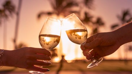 Two people clinking wine glasses at sunset with palm trees in the background, in a tropical outdoor setting.