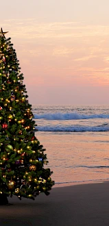 A decorated Christmas tree on a beach at sunset, twinkling lights glowing against the waves.
