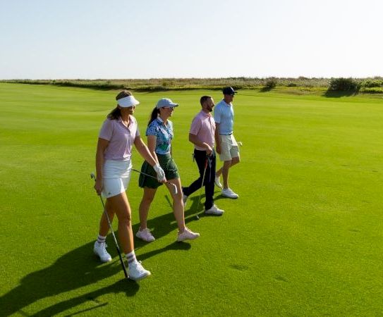 Four friends walk on a sunny golf course together, each with a club, enjoying a day of golf.