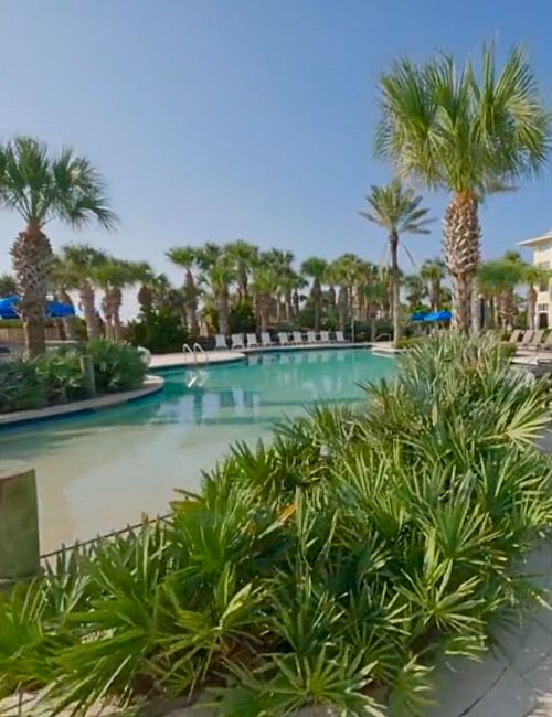 The image shows a tropical pool area with palm trees, lounge chairs, lush greenery, and a clear blue sky.