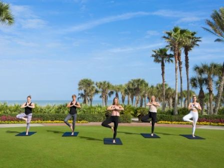 People doing yoga on mats in a sunny outdoor lawn with palm trees and a sea view, practicing balance poses together.