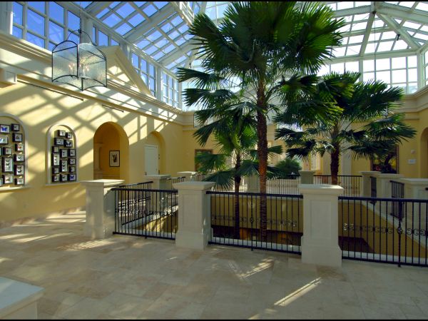 The image shows an indoor atrium with a glass ceiling, palm trees, and framed photos on the walls, creating a bright, spacious environment.