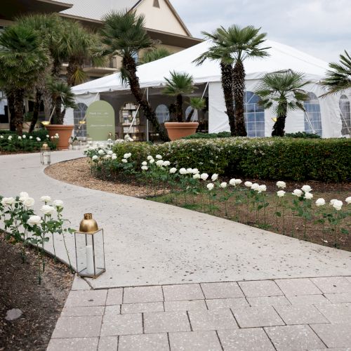 A paved path with white roses and lanterns leads to a white tent, surrounded by lush greenery and palm trees.