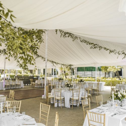 Elegant wedding reception setup under a white tent with greenery, round tables adorned with white flowers, and gold chairs.