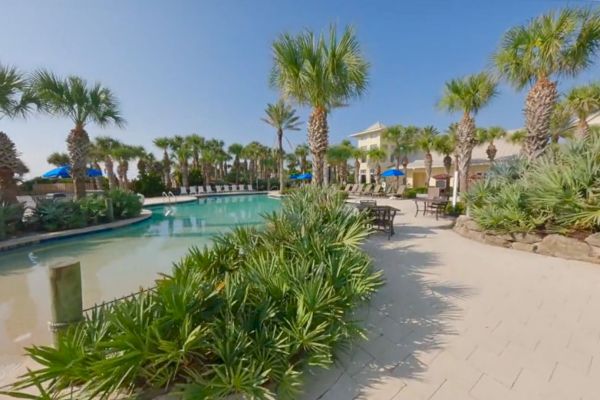 The image shows a scenic pool area surrounded by palm trees and lush greenery under a clear blue sky, creating a tropical atmosphere.