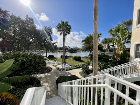 A sunny view of a tropical landscape with palm trees, a lake, and a white railing leading down steps.