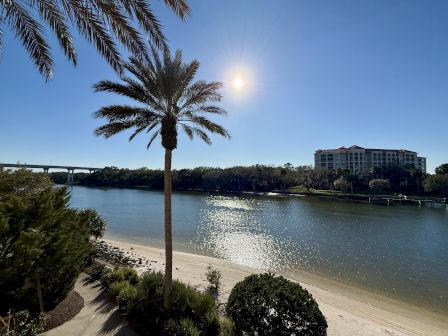 A scenic view of a river with a sandy beach, palm trees, a building, and a bridge under a clear blue sky and bright sun.