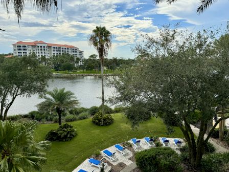 A scenic view with a pond, palm trees, blue sky, and a large building in the background, surrounded by greenery and lounge chairs.