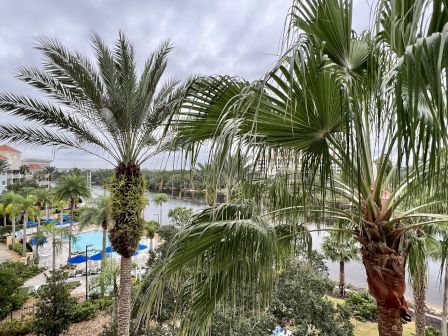 The image shows a tropical resort area with palm trees, a swimming pool with blue umbrellas, and a body of water in the background.