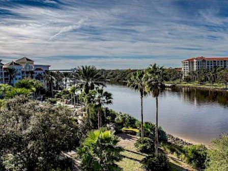 The image shows a scenic view with a river, palm trees, and buildings under a blue sky with clouds.