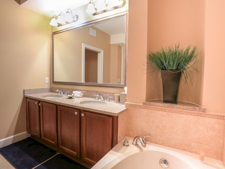 This image shows a bathroom with a double vanity, large mirror, bathtub, and potted plant for decor.
