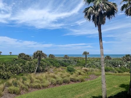 A scenic view features palm trees, grassy dunes, and a distant ocean under a partly cloudy blue sky.