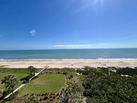 A beach scene with a clear blue sky, ocean waves, and sandy shores, bordered by greenery and a path with scattered palm trees.