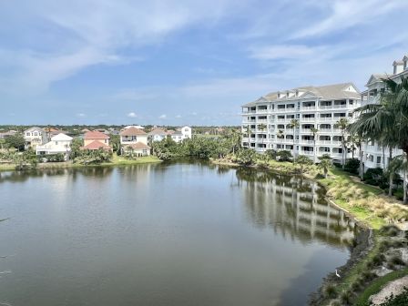 A waterside scene with modern buildings, palm trees, and a calm pond reflecting the blue sky and structures around it.
