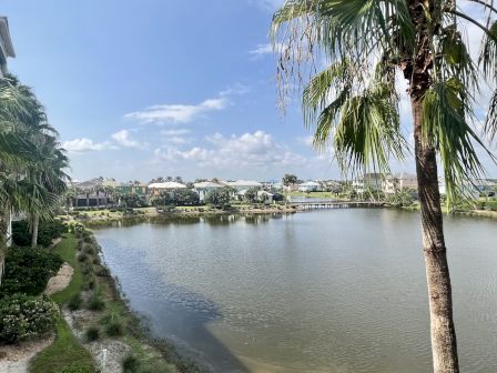 A calm lake with palm trees, a landscaped shore, and houses in the background under a clear blue sky.