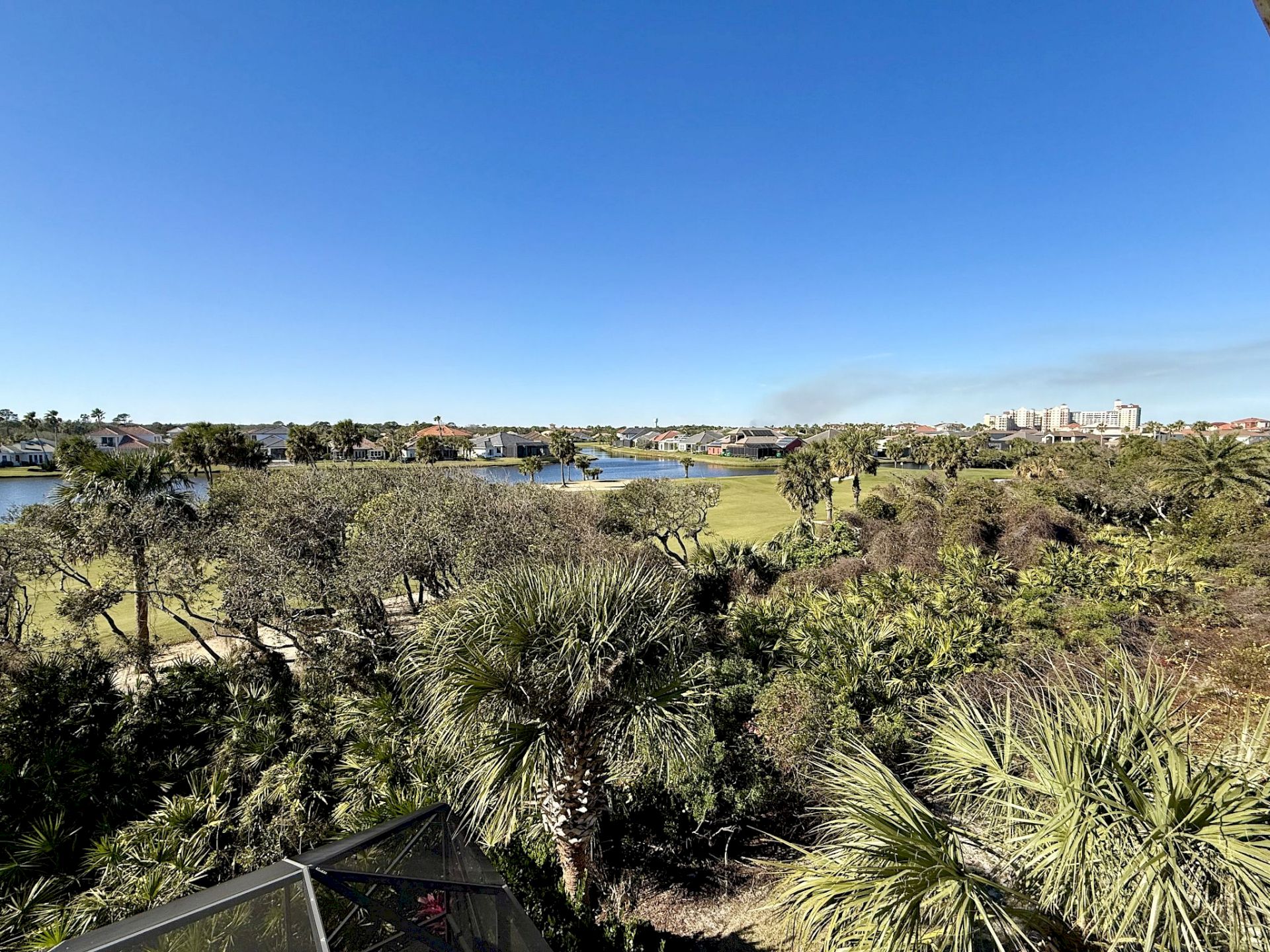A scenic view of lush greenery, palm trees, a river, and distant buildings under a clear blue sky completes the picture.