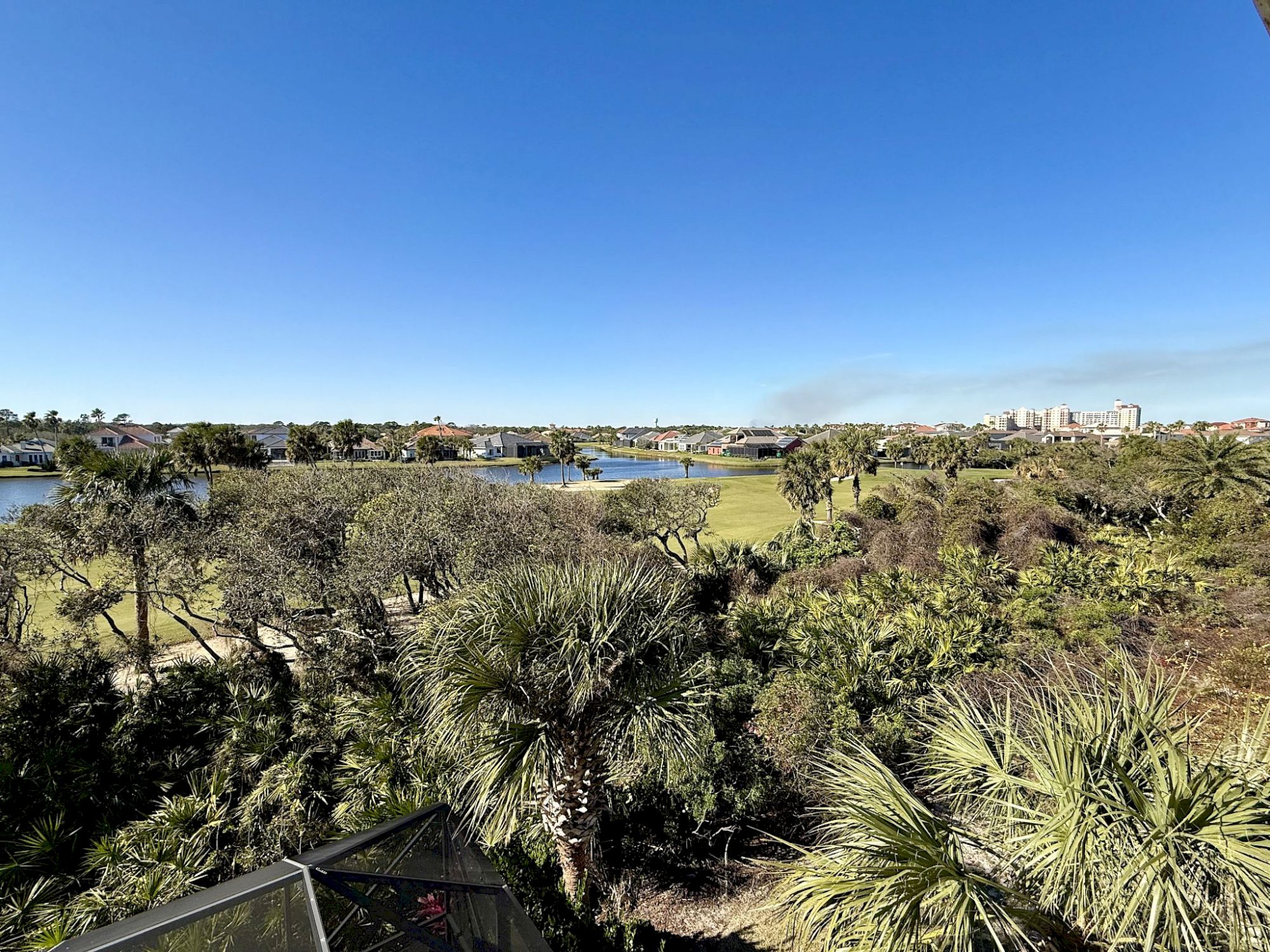 A scenic view of lush greenery, palm trees, a river, and distant buildings under a clear blue sky completes the picture.