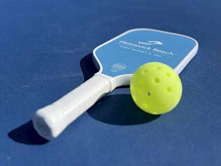 A pickleball paddle and ball on a blue court with a net and buildings in the blurred background.